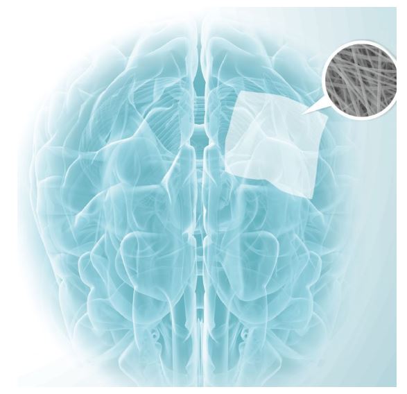 Implanty czaszkowe - substytuty opony twardej Medprin ReDura