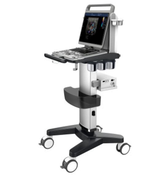 Ultrasonografy wielonarządowe weterynaryjne - USG CHISON EBit 30 VET