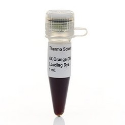 Barwniki do biologii molekularnej THERMO SCIENTIFIC Orange DNA loading dye