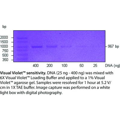 Barwniki do elektroforezy VWR Visual Violet
