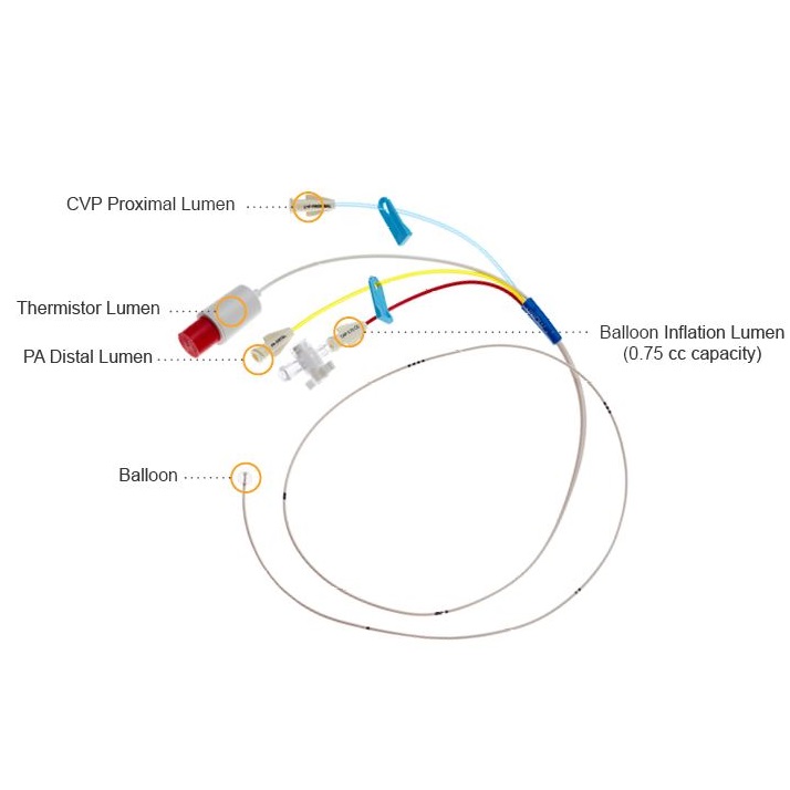 Cewniki do pomiaru rzutu serca (termodylucji) Teleflex Arrow Thermodilution Catheters