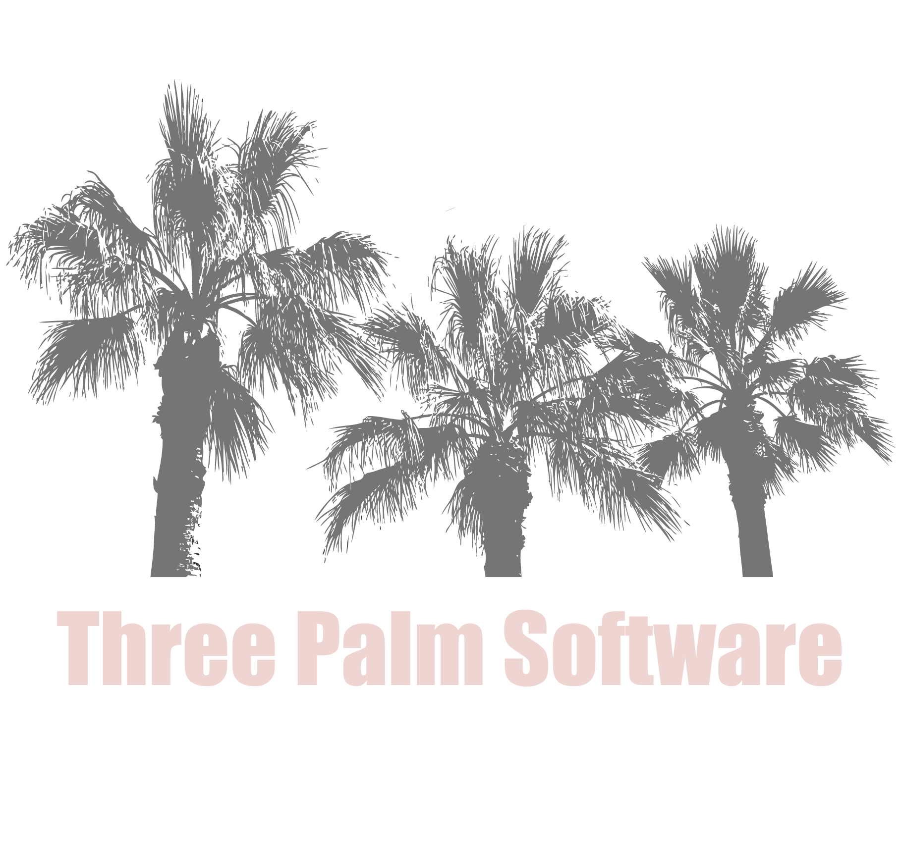 Diagnostyka obrazowa - oprogramowanie Three Palm Software Three Palm