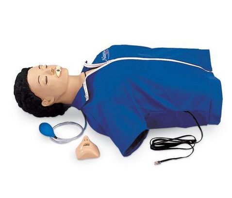 Fantomy szkoleniowe Nasco CPARLENE CPR tors