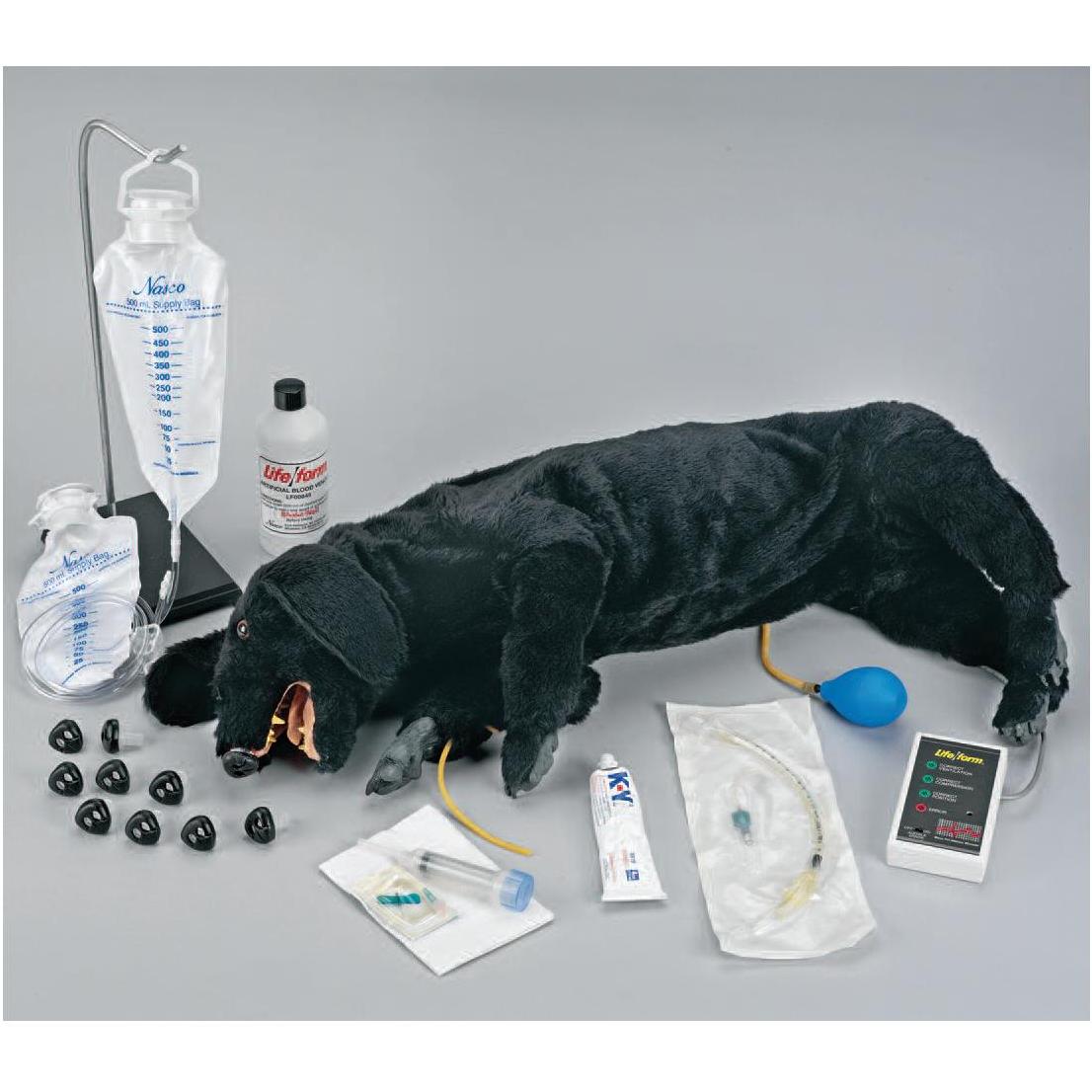 Fantomy szkoleniowe Nasco Fantom psa do ALS