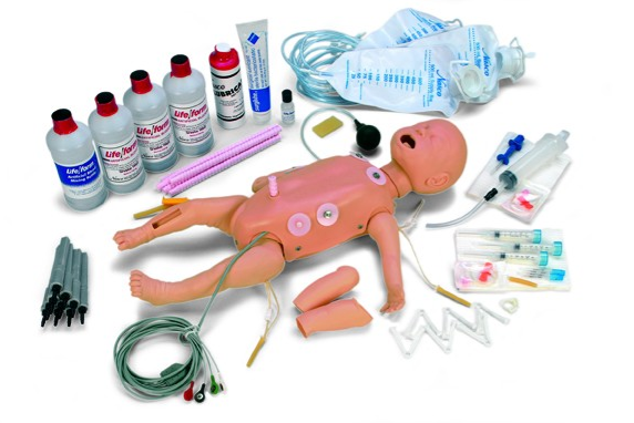 Fantomy szkoleniowe 3B Scientific W44143