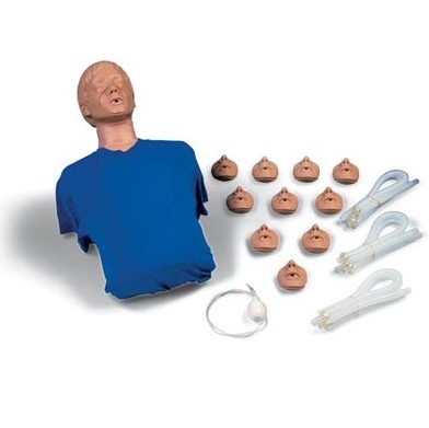 Fantomy szkoleniowe 3B Scientific W44537 / 1005725