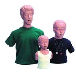 Fantomy szkoleniowe 3B Scientific W44584