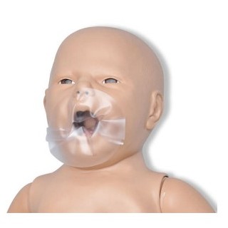 Fantomy szkoleniowe 3B Scientific W45134