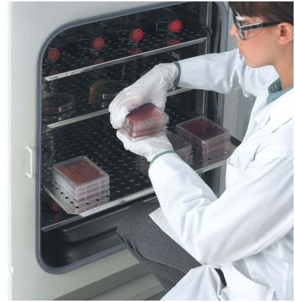 Inkubatory CO2 NuAire Laboratory Equipment Supply NU-4750E