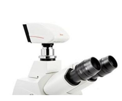 Kamery do mikroskopów LEICA DFC345 FX