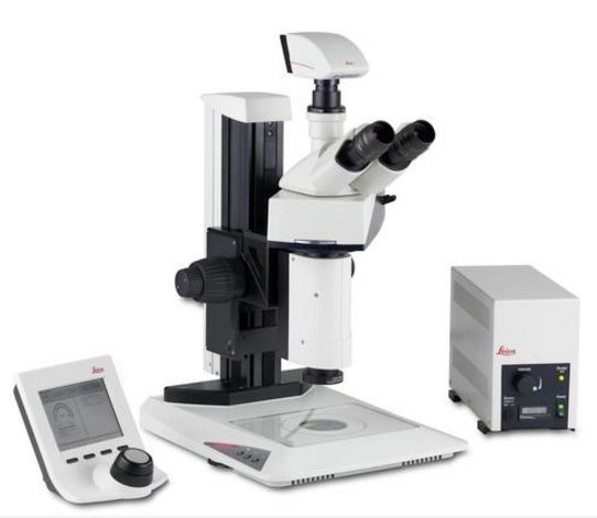 Makroskopy LEICA MacroFluo