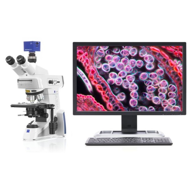 Mikroskopy biologiczne Carl Zeiss Axio Lab.A1
