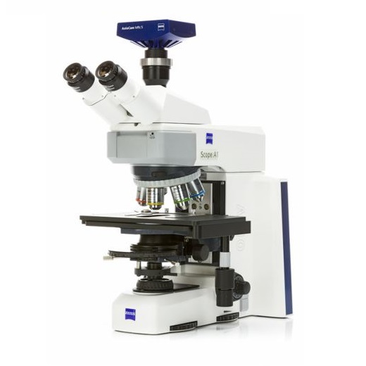 Mikroskopy biologiczne Carl Zeiss Axio Scope.A1