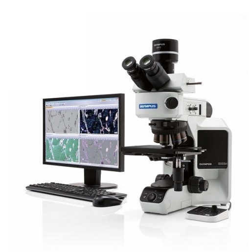 Mikroskopy biologiczne Olympus BX53M
