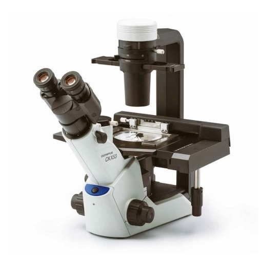 Mikroskopy biologiczne Olympus CKX53