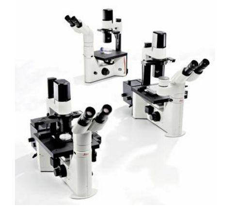 Mikroskopy biologiczne LEICA DM IL LED