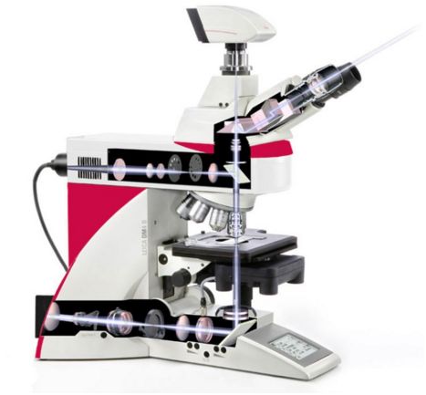 Mikroskopy biologiczne LEICA DM4 B