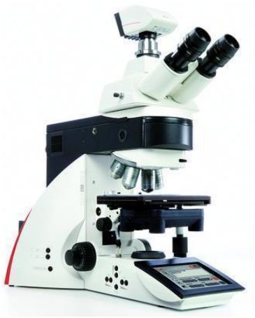Mikroskopy biologiczne LEICA DM5000 B