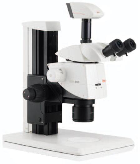 Mikroskopy stereoskopowe LEICA M125