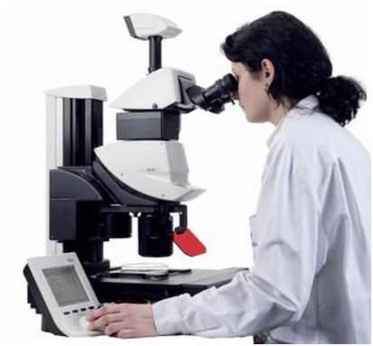 Mikroskopy stereoskopowe LEICA M205 FA