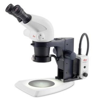 Mikroskopy stereoskopowe LEICA S4 E