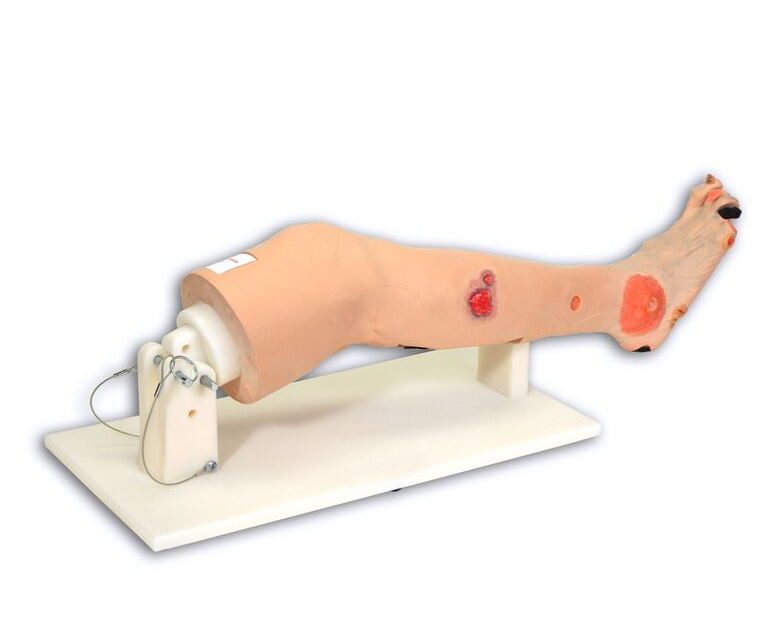 Modele / Manekiny pielęgnacyjne - dorośli 3B Scientific R11021