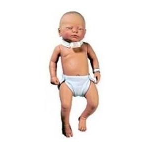Modele / Manekiny pielęgnacyjne - dzieci i niemowlęta Nasco LF01167U