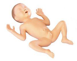 Modele / Manekiny pielęgnacyjne - dzieci i niemowlęta KOKEN LM-062 A