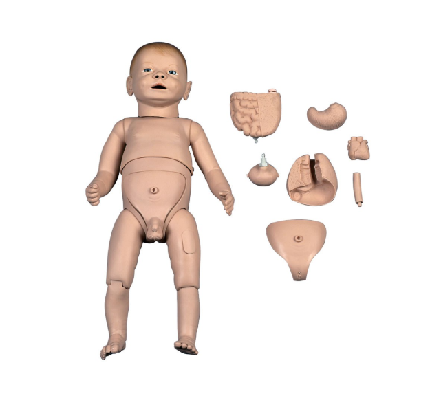 Modele / Manekiny pielęgnacyjne - dzieci i niemowlęta 3B Scientific P30