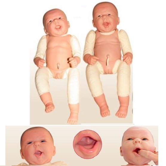 Modele / Manekiny pielęgnacyjne - dzieci i niemowlęta Warda Timo