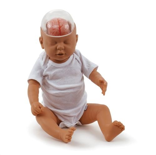 Modele / Manekiny pielęgnacyjne - dzieci i niemowlęta 3B Scientific W43117