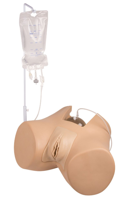 Modele zabiegowe 3B Scientific 7050