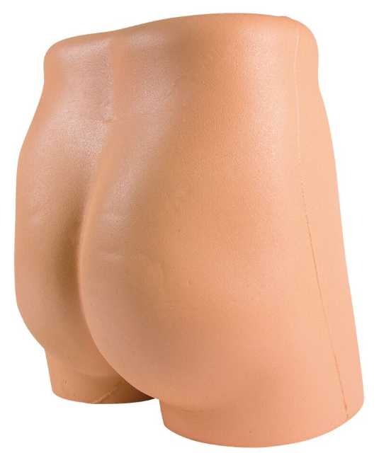 Modele zabiegowe 3B Scientific 7090