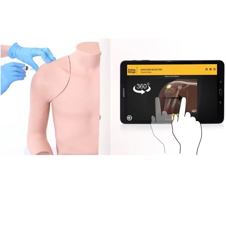 Modele zabiegowe Limbs&Things 72000INT