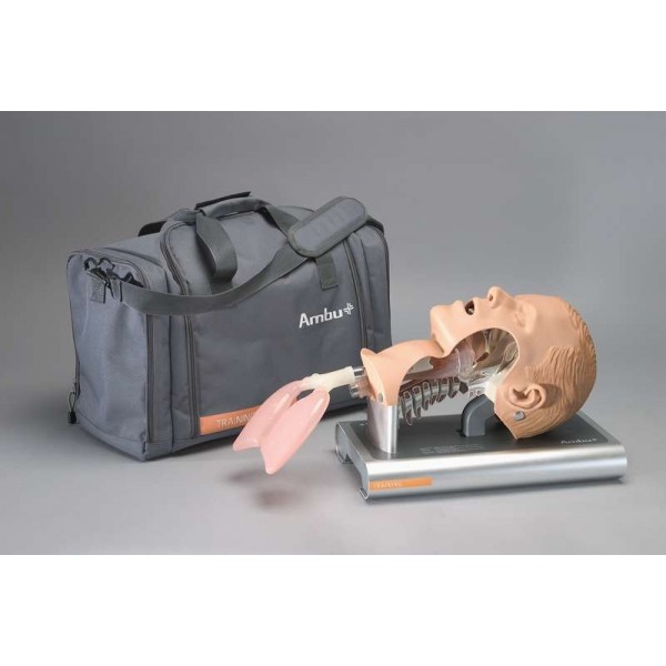 Modele zabiegowe Ambu Airway Management Trainer