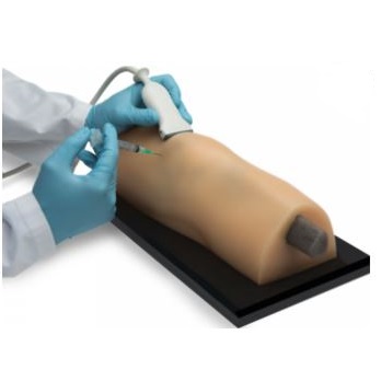 Modele zabiegowe CAE Healthcare Blue Phantom MSK