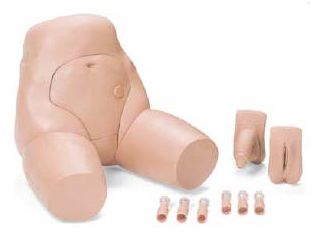 Modele zabiegowe Laerdal Catheterization and Enema Trainer