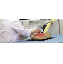 Modele zabiegowe KYOTO KAGAKU KKMUS-6