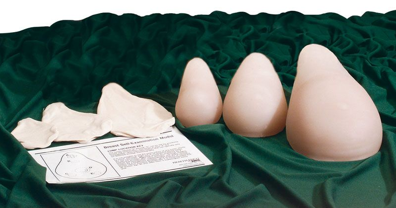 Modele zabiegowe 3B Scientific L61