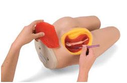 Modele zabiegowe Nasco LF00961U