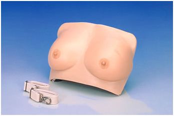 Modele zabiegowe KOKEN LM-017