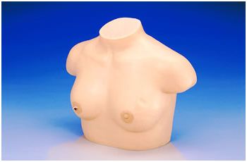 Modele zabiegowe KOKEN LM-018