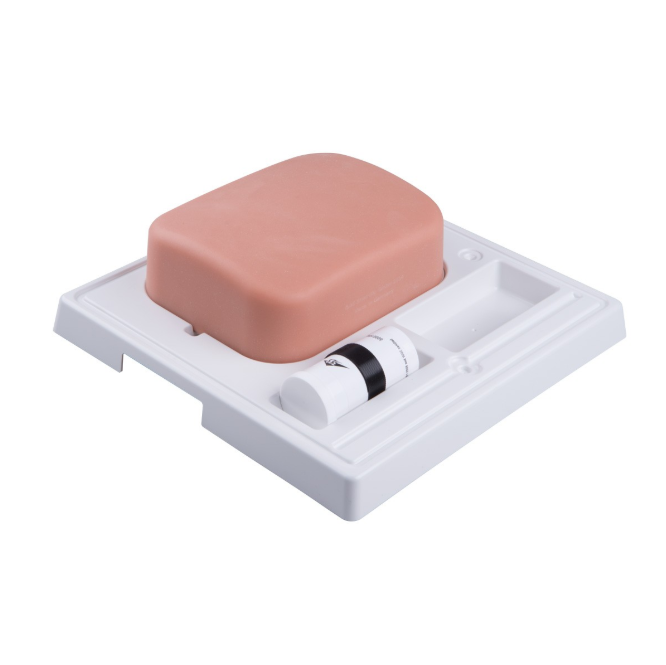 Modele zabiegowe 3B Scientific P122