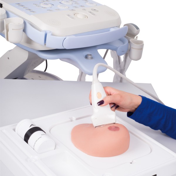 Modele zabiegowe 3B Scientific P124