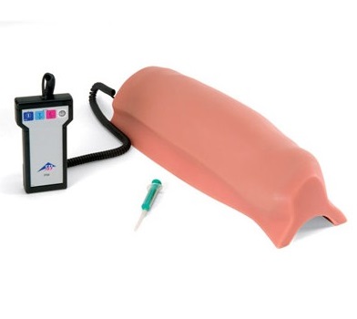 Modele zabiegowe 3B Scientific P56