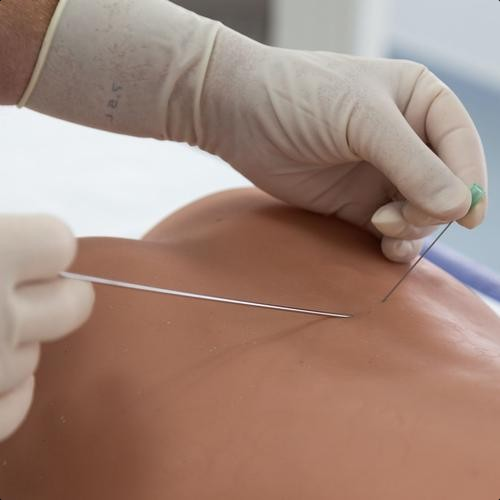 Modele zabiegowe 3B Scientific P65