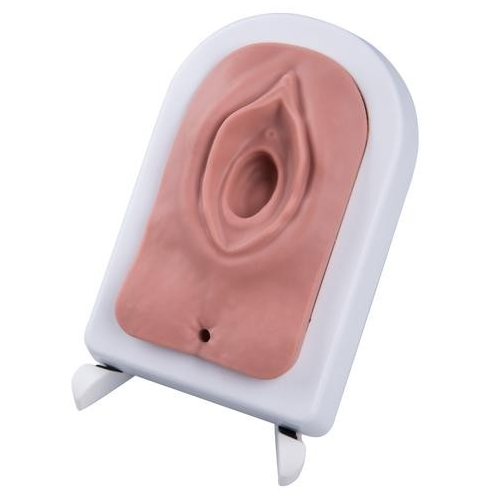 Modele zabiegowe 3B Scientific P95