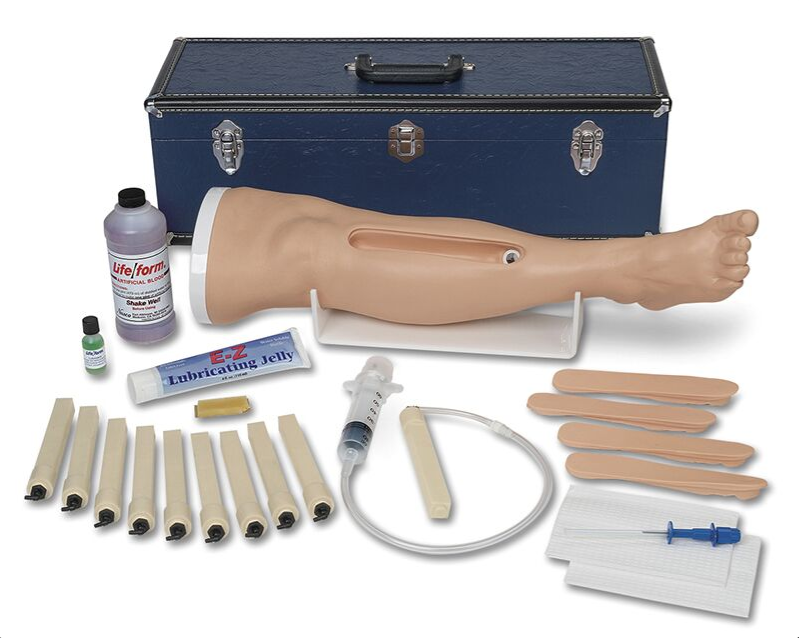 Modele zabiegowe 3B Scientific R10722