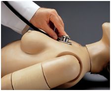 Modele zabiegowe Gaumard S315.200