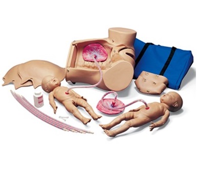 Modele zabiegowe Gaumard S500